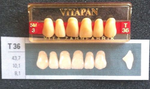 Vitapan Denture Teeth    T36   5M3