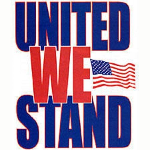 United US Flag Patriotic HEAT PRESS TRANSFER for T Shirt Tote Sweatshirt 024d