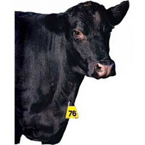 Bock&#039;s Dewlap Brisket Cattle YELLOW Tags Numbered 1-20
