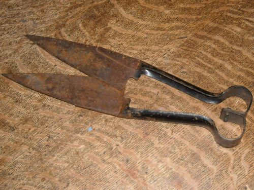 Vintage Steel Sheep Shears ~ Grass Shears Clippers ~ &#034;Drummer Boy&#034; Brand England