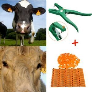 100 Number Livestock Cattle Pig Sheep Animal Ear Tags With Clamps Needles Set