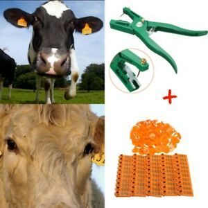 100 Number Livestock Cattle Pig Sheep Animal Ear Tags With Clamps Needles Set