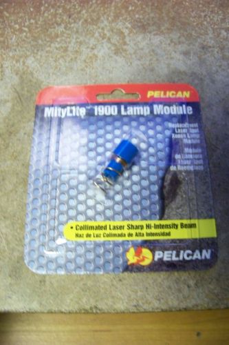 NEW Pelican 1904 Lamp Module Mitylite Replacement laser Spot, Xenon Lamp Mod