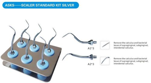 NEW Dental Ultrasonic Scaler Standard Tips Sliver Kit for KAVO AMDENT Handpiece