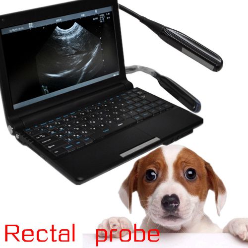 Full Digital Laptop Vet Ultrasound Scanner + Rectal probe + external 3D FDA