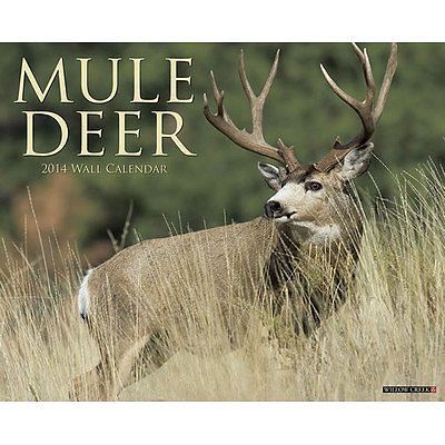 Mule Deer 2014 Wall Calendar
