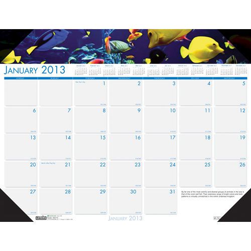 House of doolittle sea life black monthly desk pad calendar, nonrefillable, 22&#034; for sale