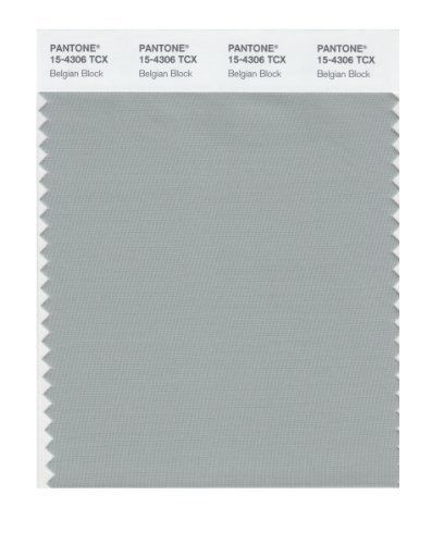 NEW Pantone 15-4306 TCX Smart Color Swatch Card  Belgian Block