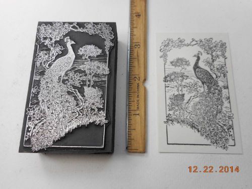 Printing Letterpress Printers Block, Peacock Magnificent Bird by Tree &amp; Mountain