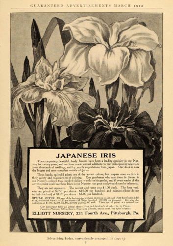 1912 Ad Elliot Nursery Japanese Iris Flowers Glasshouse - ORIGINAL GH2