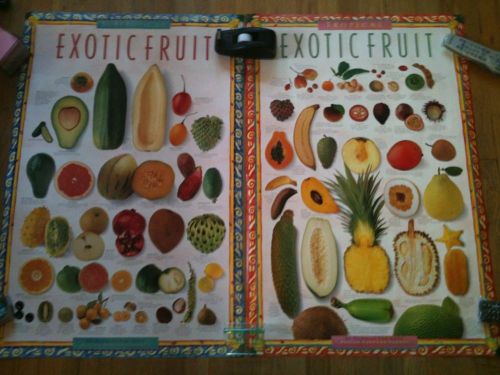 Tropical Exotic Fruit Poster &amp; Subtropical Print! Norman Van Aken Lot Of 2!