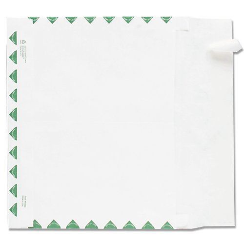 Quality Park Tyvek Expansion First Class Envelope - First Class Mail - (r4620)