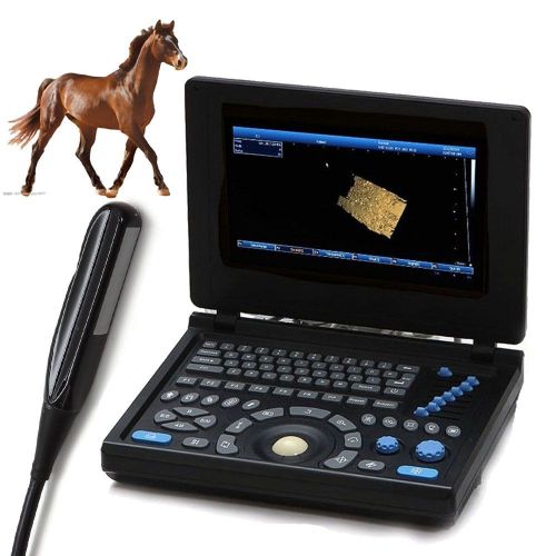 Veterinary full digital laptop ultrasound scanner pc rectal probe 3d color image for sale