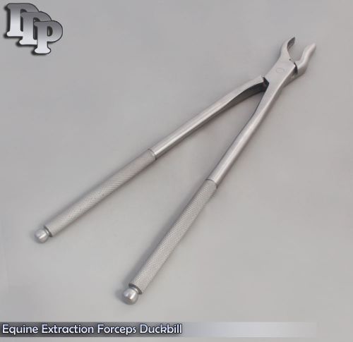 Equine Extraction Forceps Duckbill 19&#039;&#039; Stainless Steel