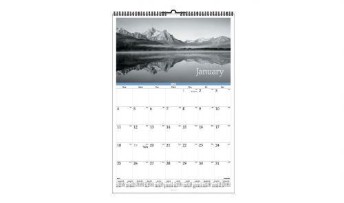 AT-A-GLANCE Black and White Monthly Wall Calendar Item# DMW163