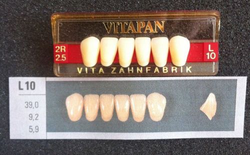Vitapan Denture Teeth  L10    2R2.5
