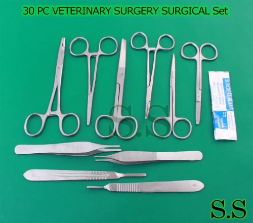 30 PC VETERINARY SURGERY SURGICAL INSTRUMENTS FORCEPS SCISSORS SURGICAL BLADES