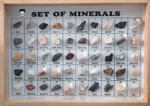 Collection of 50 Minerals Polished Showcase Educational Science Lab Mineral Kit)