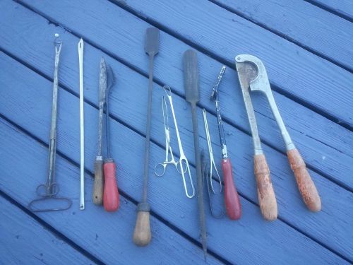Vintage 12 Veterinary Assortment Steel Tools