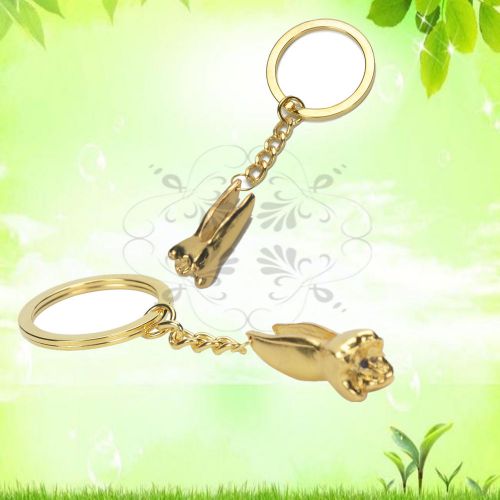 high quality 1pcs Molar Shaped Tooth Key Chain Key Ring Dentist Dental Lab