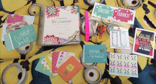 Erin Condren Life Planner Lot.