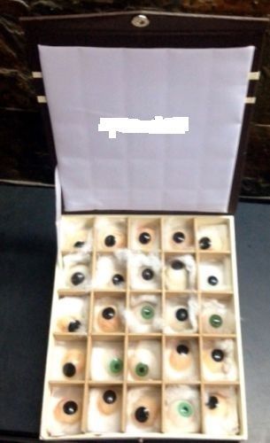 SUPER Quality Artificial Eyes-25 Pieces Prosthetic Eyes Set Free shipping