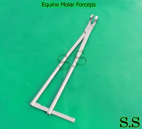 Equine Molar Forceps 21&#034; With Ratchet Veterinary Instruments S.S-V006
