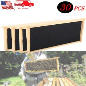 30PCS Beehive Frames Wood Deep Replacement Frames Beekeeping Tools Langstroth
