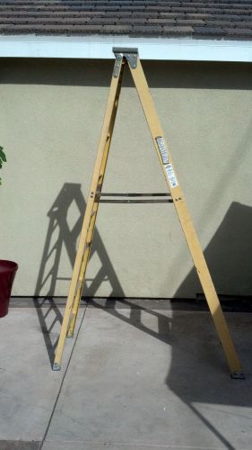 Lot of 2 Fiberglass Ladders (8 foot and 10 foot)