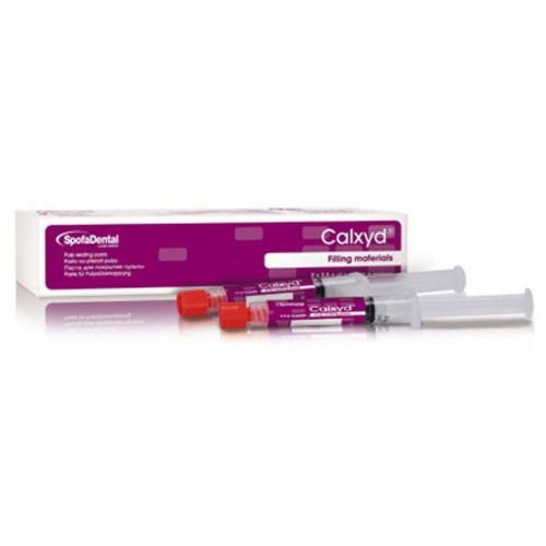 Dental Calcium hydroxide paste 2 syringes