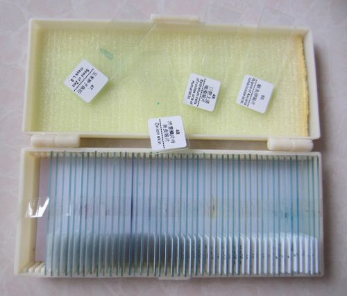 50pcs/box student lab bio-microscope glass prepared microscope slides specimen for sale