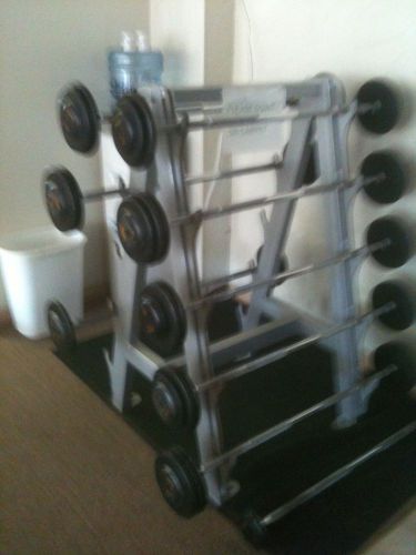 EPIC   WEIGHT RACK AND FIVE TROY FIXED BARBELL  WEIGHTS