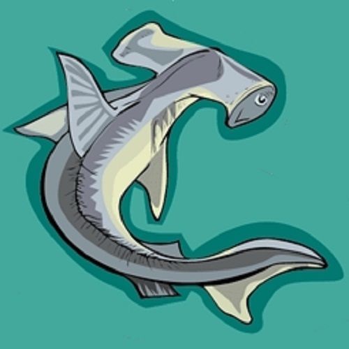 30 Custom Hammerhead Shark Personalized Address Labels