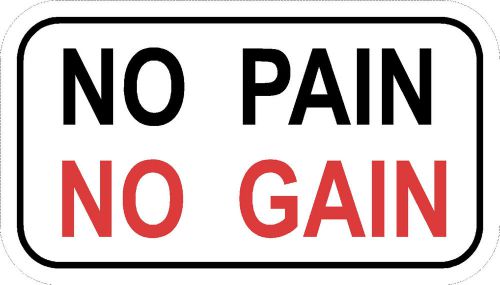 NO PAIN NO GAIN  Hard hat decals toolboxes notebooks laptops