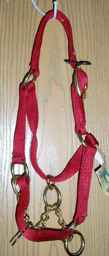 New Red Hamilton Calf Halter w/ chain halter w/FREE shipping to lower 48 USA