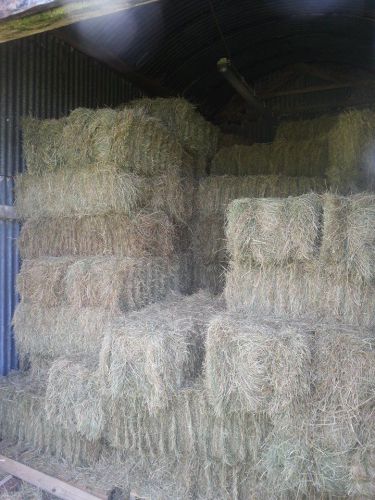 Organic small bale meadow hay