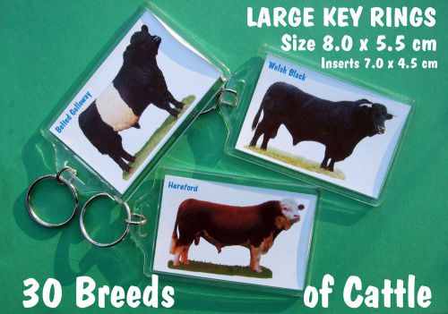 LARGE KEY RINGS.... 30 Breeds of Cattle