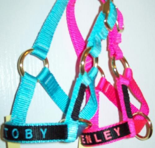 Personalized goat halter - all sizes - many colors for sale