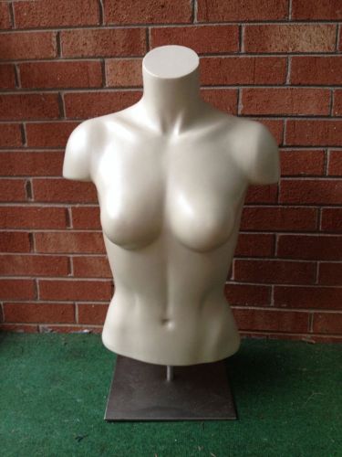 Female mannequin torso with back