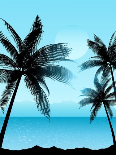 30 Personalized Return Address Beach Palm Trees Buy 3 get 1 free (bp53)