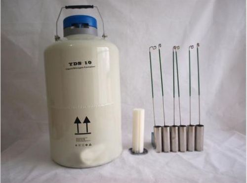 10 l liquid nitrogen tank cryogenic ln2 container dewar with straps for sale