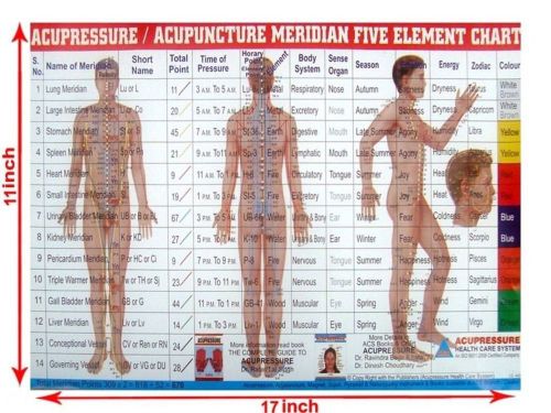 Meridian panch tatvha five element chart - study academics teaching educational for sale