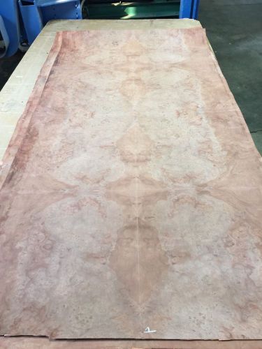 Wood Veneer Red Maple Burl 48x98 1 Piece Wood Backed &#034;EXOTIC&#034; 0913.1