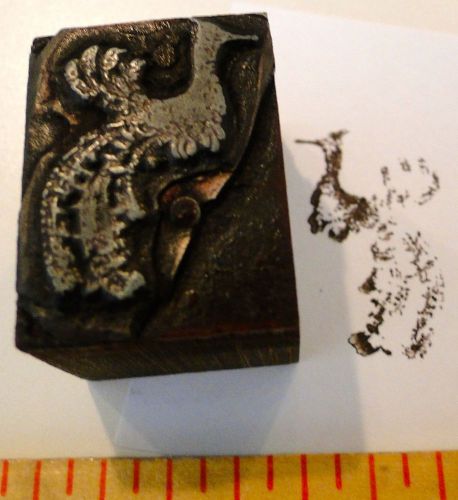 VTG Printing Letterpress Printers Block Exotic Bird Image Metal on Wood