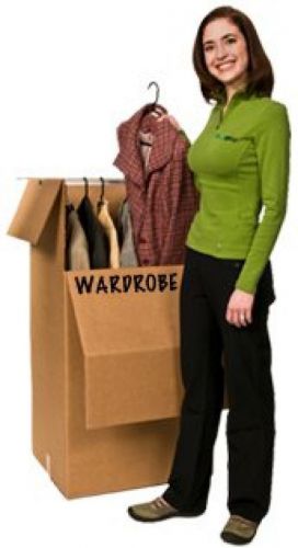 EcoBox 24 X 21 X 46 Inches Large Wardrobe Box With Hanger Bar (Pack Of 3)