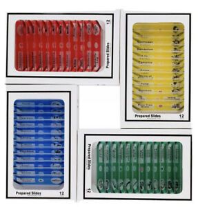 AMSCOPE-KIDS 48pcPlastic Prepared Microscope Slides of Animals Insects Plants