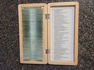 AmScope Microscope Slide 9&#034; x4” Wooden Box Holding 50 Prepared Slides