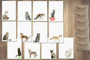 CAT STATIONERY SET LETTER WRITING RECYCLED Paper ENVELOPES AUSTRALIAN MADE CATS