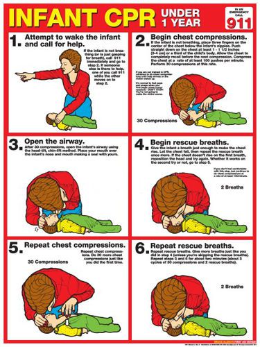 Infant cpr first aid instructional wall chart poster (arc-aha guidelines) for sale