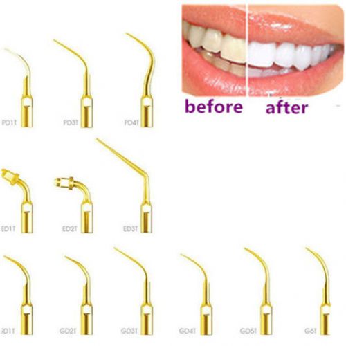 12pcs one Set Of Golden Perio Scaling Endo Tips Fit DTE SATELE NSK Dental Scaler